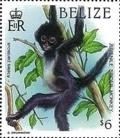 Colnect-2999-921-Black-Spider-Monkey-Ateles-paniscus.jpg