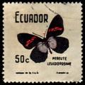 Colnect-372-711-Pereute-Butterfly-Pereute-leucodrosime.jpg