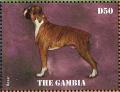 Colnect-4218-329-German-Boxer-Canis-lupus-familiaris.jpg