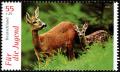 Colnect-5199-404-Roe-Deer-Capreolus-capreolus.jpg