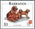 Colnect-5604-214-Irish-Setter-Canis-lupus-familiaris.jpg