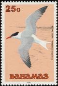 Colnect-576-822-Royal-Tern-Thalasseus-maximus.jpg