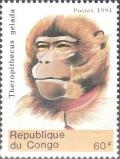 Colnect-5772-014-Theropithecus-gelada.jpg