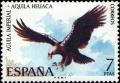 Colnect-604-253-Eastern-Imperial-Eagle-Aquila-heliaca.jpg