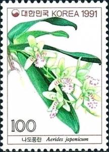 Colnect-5866-215-Aerides-japonicum.jpg