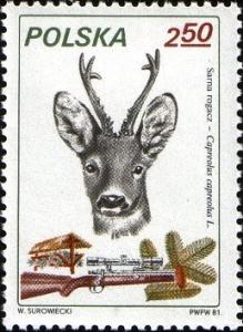 Colnect-1995-398-Roe-Deer-Capreolus-capreolus.jpg