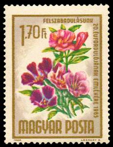 1674_Flowers_170.jpg