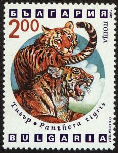 Colnect-4413-045-Tiger-Panthera-tigris.jpg