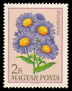 1932_Flowers_200.jpg