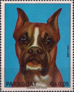 Colnect-2280-949-German-Boxer-Canis-lupus-familiaris.jpg