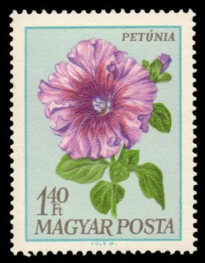 1930_Flowers_140.jpg