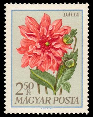 1933_Flowers_250.jpg