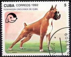 Colnect-1235-556-German-Boxer-Canis-lupus-familiaris.jpg