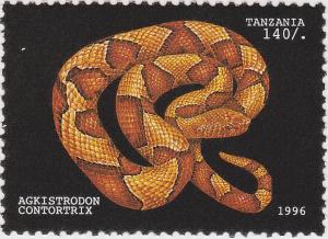 Colnect-1433-489-Southern-Copperhead-Agkistrodon-contortrix.jpg