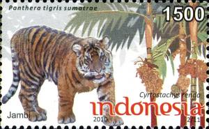 Colnect-1565-323-Sumatran-Tiger-Panthera-tigris-sumatrae.jpg