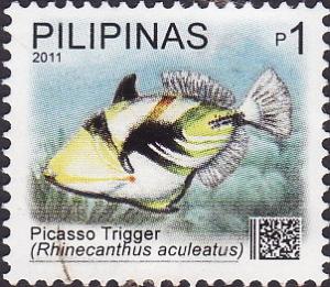 Colnect-1640-442-Picasso-Triggerfish-Rhinecanthus-aculeatus.jpg