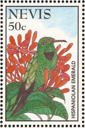 Colnect-1646-415-Hispaniolan-Emerald-Chlorostilbon-swainsonii.jpg