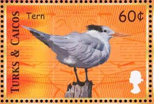 Colnect-1764-416-Royal-Tern-Thalasseus-maximus.jpg