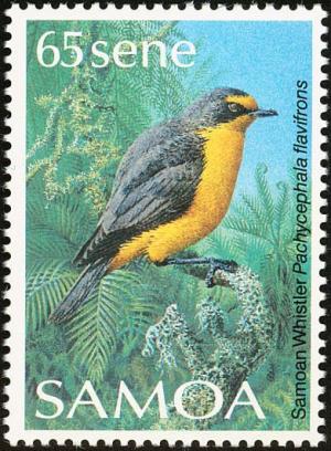 Colnect-1766-835-Samoan-Whistler-Pachycephala-flavifrons%C2%A0.jpg