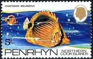 Colnect-2486-545-Blackback-Butterflyfish-Chaetodon-melanotus.jpg