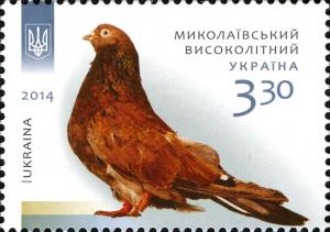 Colnect-2565-408-Mykolaiv-High-Flyer-Columba-livia-forma-domestica.jpg