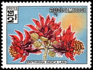 Colnect-2777-211-Wild-Flowers--Erythrina-indica-Lam.jpg