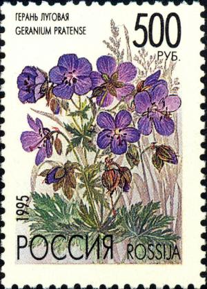 Colnect-2819-881-Geranium-pratense.jpg