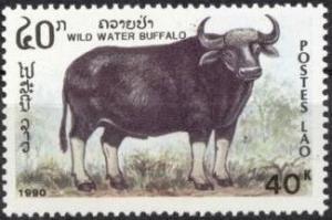 Colnect-2852-844-Wild-Water-Buffalo-Bubalus-arnee.jpg