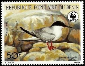 Colnect-2957-366-Roseate-Tern-nbsp-Sterna-dougallii.jpg