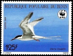 Colnect-2957-367-Roseate-Tern-nbsp-Sterna-dougallii.jpg