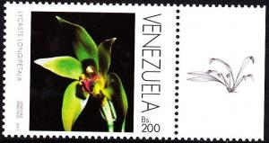 Colnect-2995-827-Sudamerlycaste-longipetala.jpg