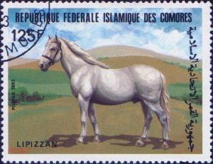 Colnect-3124-089-Lipizzaner-Equus-ferus-caballus.jpg