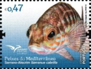 Colnect-3450-115-Serranus-cabrilla.jpg