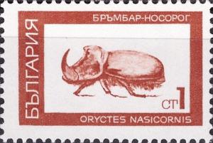 Colnect-3665-252-European-Rhinoceros-Beetle-Oryctes-nasicornis.jpg