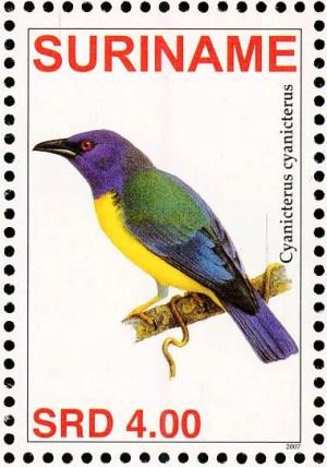 Colnect-3837-108-Blue-backed-Tanager%C2%A0%C2%A0%C2%A0%C2%A0Cyanicterus-cyanicterus.jpg