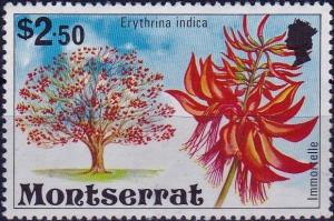 Colnect-3904-848-Erythrina-indica.jpg