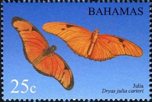 Colnect-5147-440-Julia-Butterfly-Dryas-iulia-warneri.jpg