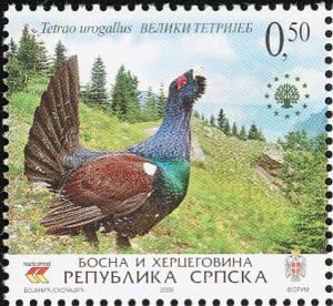 Colnect-5250-711-Western-Capercaillie-Tetrao-urogallus.jpg