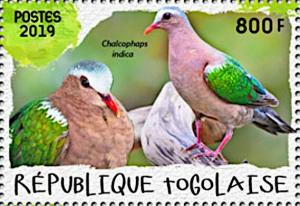 Colnect-5646-465-Grey-capped-Emerald-Dove-Chalcophaps-indica.jpg