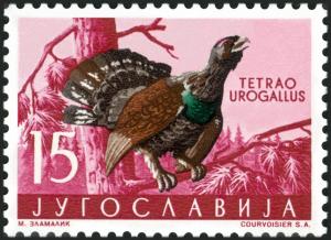 Colnect-5663-277-Western-Capercaillie-Tetrao-urogallus.jpg