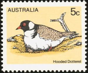 Colnect-604-076-Hooded-Dotterel-Thinornis-rubricollis.jpg