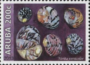 Colnect-6279-141-Nerita-versicolor.jpg