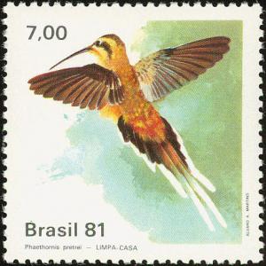 Colnect-712-894-Planalto-Hermit-Phaethornis-pretrei.jpg