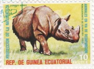 Colnect-959-002-Sumatran-Rhinoceros-Dicerorhinus-sumatrensis.jpg