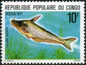 Colnect-997-949-African-Butter-Catfish-Schilbe-mystus-.jpg