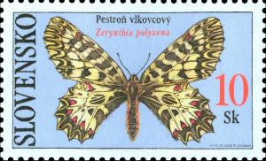 Southern-Festoon-Zerynthia-polyxena.jpg