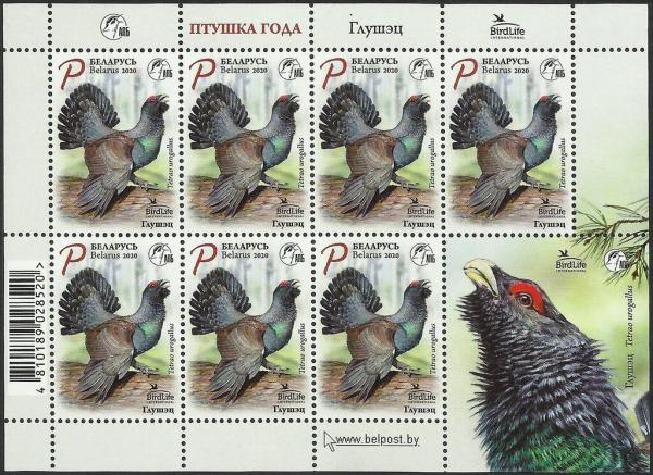 Colnect-6552-649-Western-Capercaillie-Tetrao-urogallus.jpg