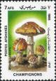 Colnect-2025-599-Blusher-Amanita-rubescens.jpg