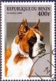 Colnect-3932-551-German-Boxer-Canis-lupus-familiaris.jpg