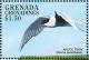 Colnect-4213-475-Arctic-Tern---Sterna-paradisaea.jpg